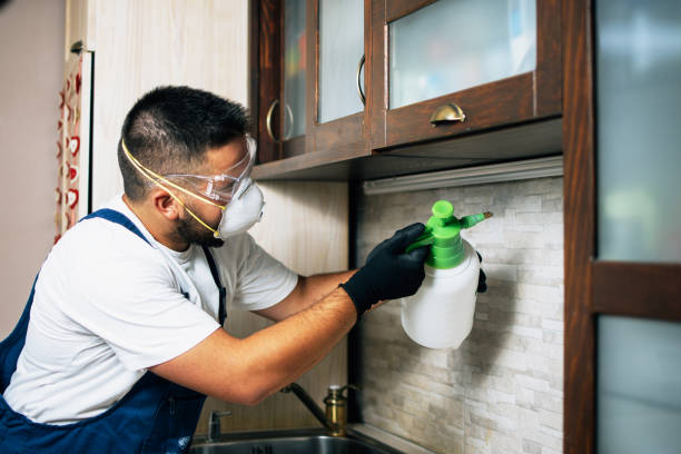 Best Affordable Pest Control Services  in Linden, AZ