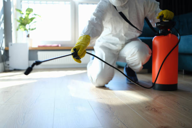 Best Insect Control  in Linden, AZ