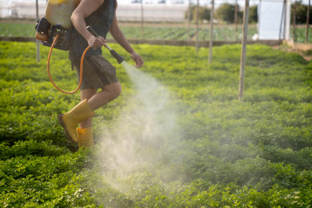 Best Best Pest Control Companies  in Linden, AZ