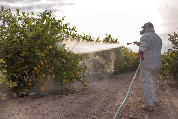 Wildlife Control Services in Linden, AZ
