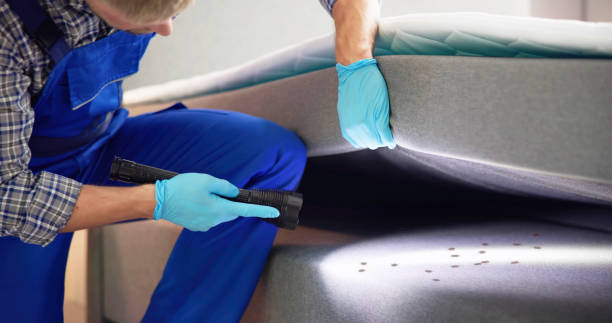 Best Wildlife Control Services  in Linden, AZ