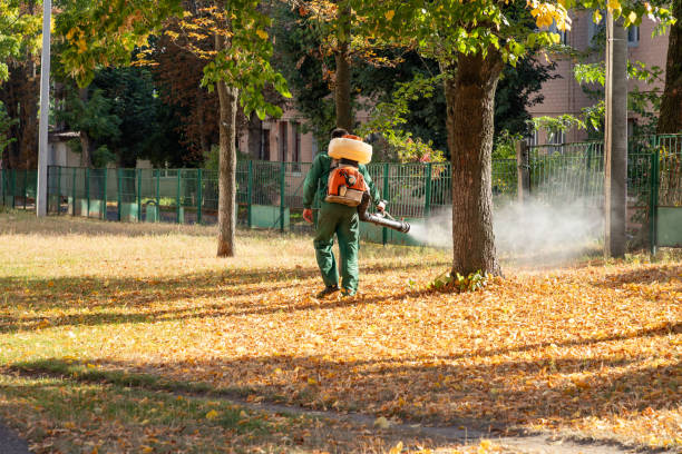 Best Cockroach Control Services  in Linden, AZ