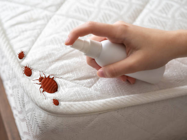 Reliable Linden, AZ Pest Control Solutions