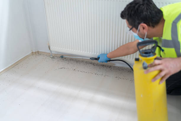 Best Wildlife Control Services  in Linden, AZ